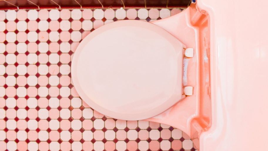 Pink toilet seen from above